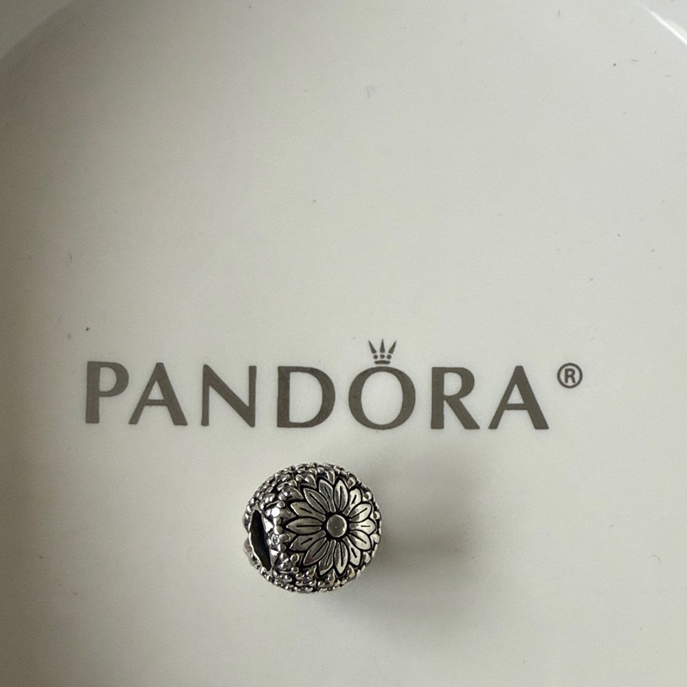 Pandora Silver Pineapple Charm - image 2